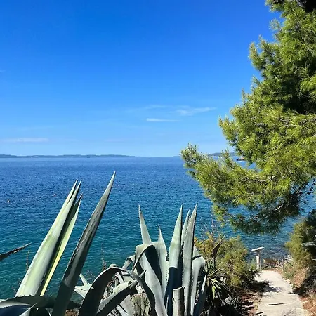 Adriatic Apartamento *